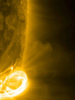 Magnetic field arches (NASA)
